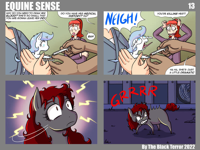Page 13 Equine Sense