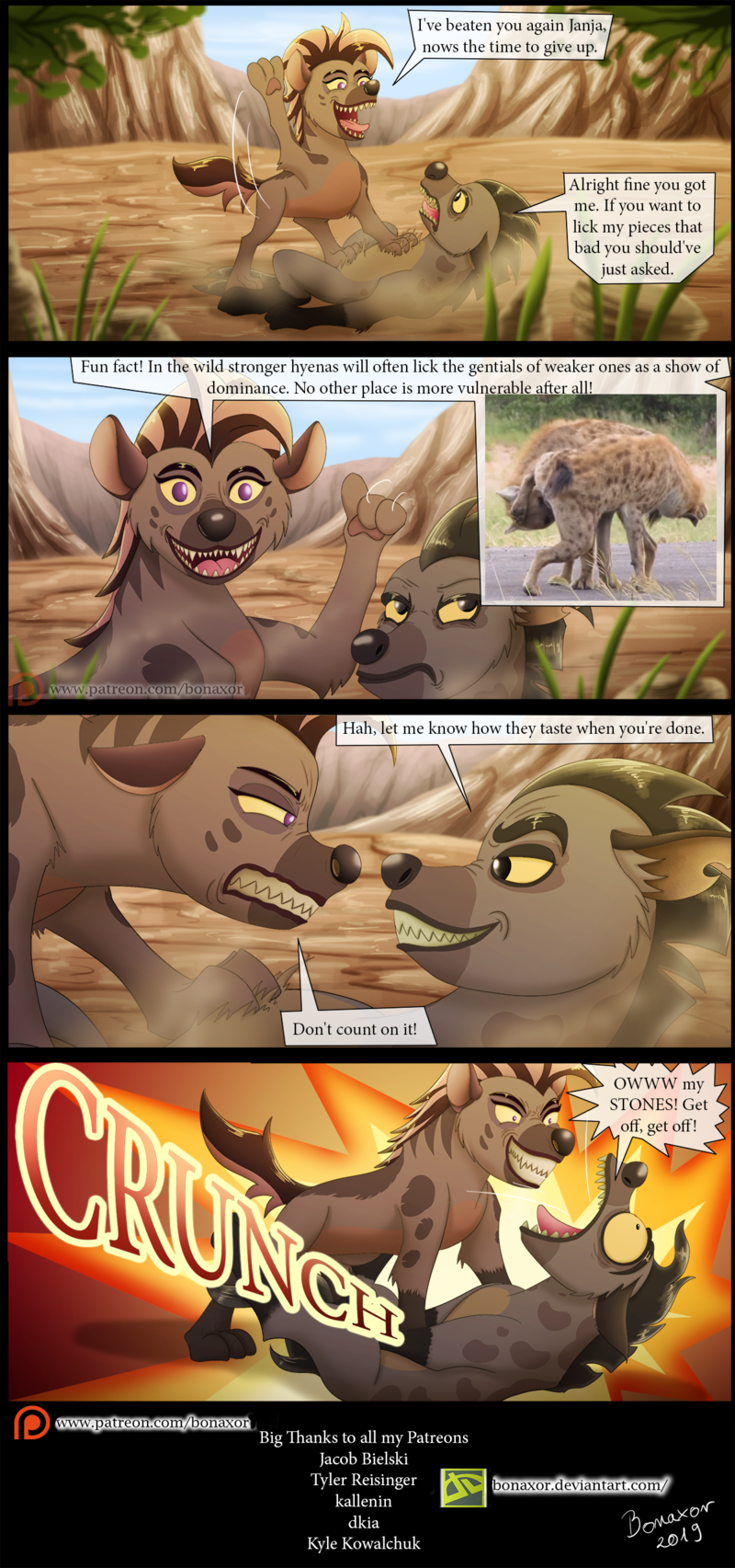 Page 1: Hyena Stones