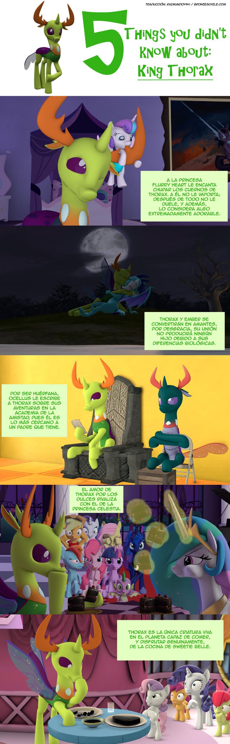 Page 15: Thorax