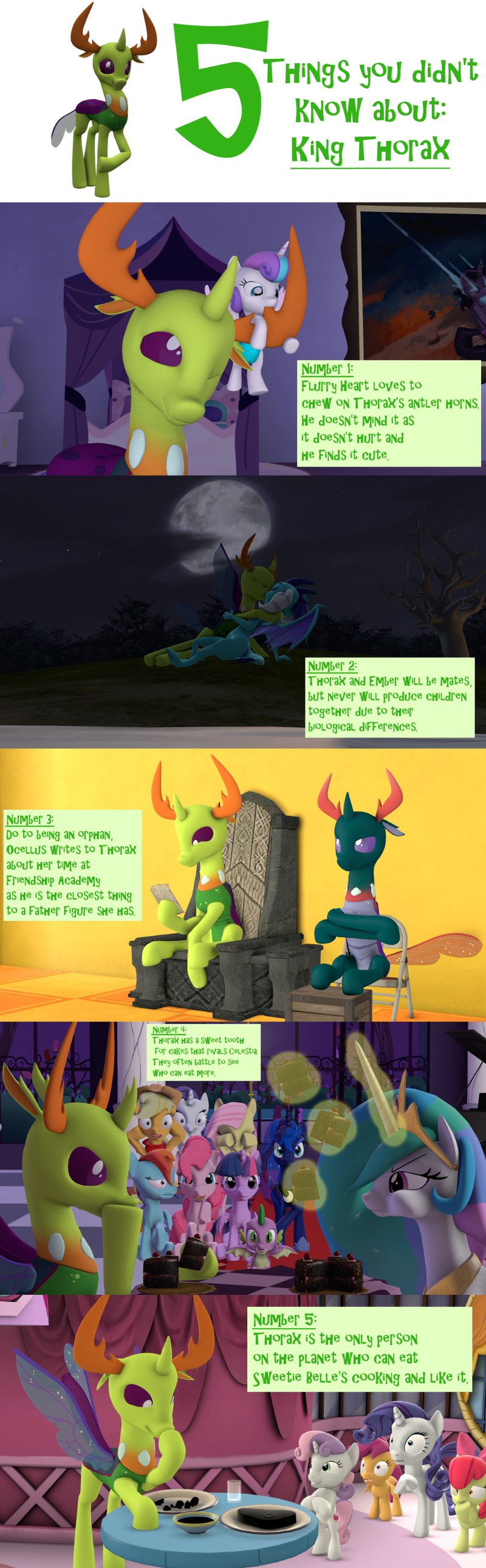 Page 15: Thorax